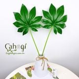 Lá Cây Giả Lá ARALIA Decor