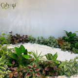 Thi Công Trồng Cây Xanh Giả Khu Vườn Cây Nhân Tạo Giếng Trời