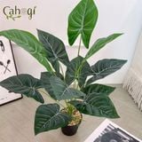 Cây Giả Cây Môn Xanh Gân Trắng 12 Lá -63 Cm