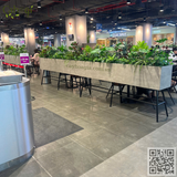 Thi Công Trang Trí Cây Hoa Giả Siêu Thị Aeon Xuân thuỷ Cầu Giấy