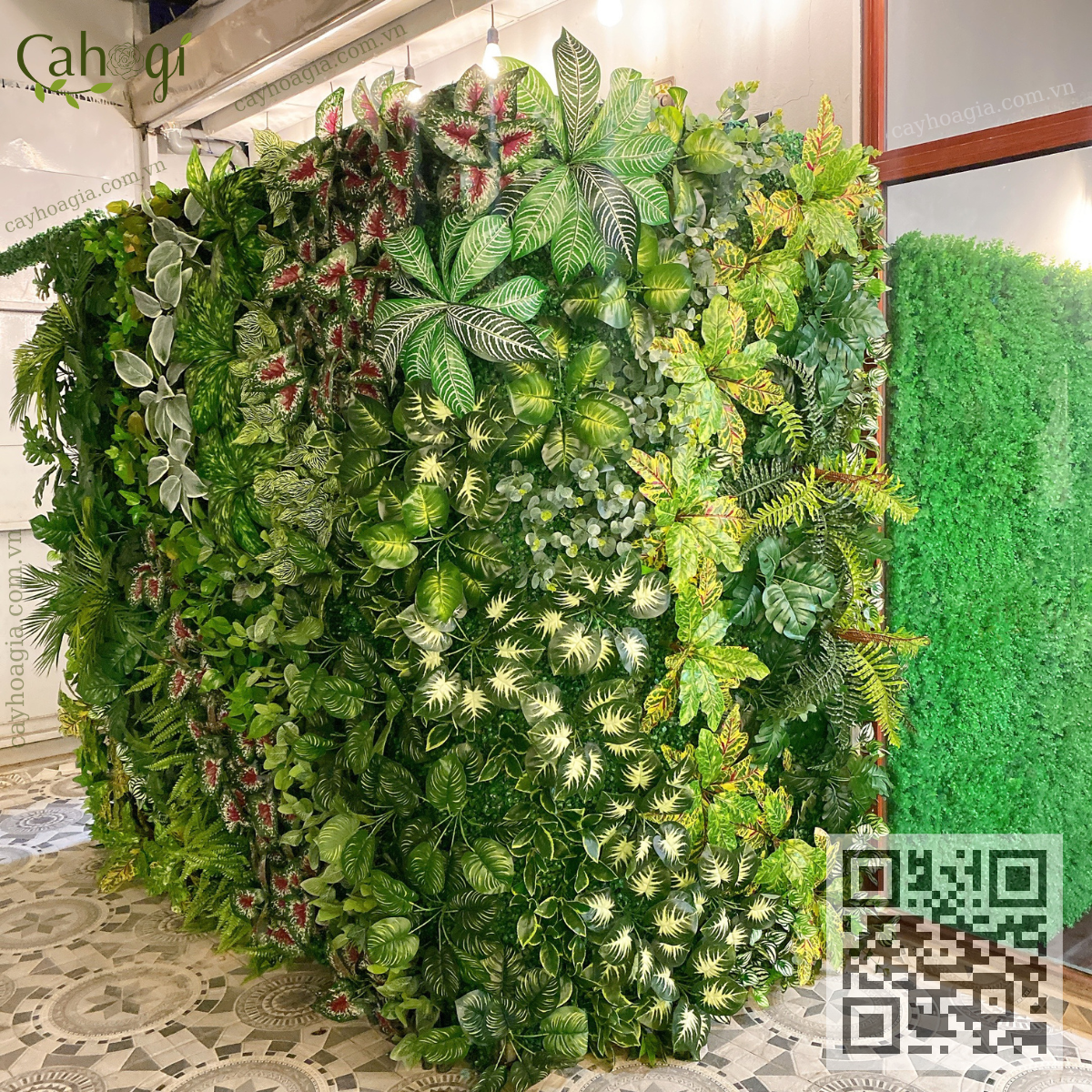 Tường cây thay vách ngăn