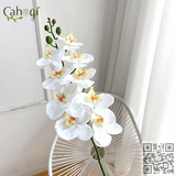 Hoa Giả Cành Lan Hồ Điệp Thân Đốm