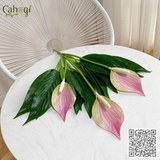 Cây Giả - Cây Lan Ý 3 Hoa - 47 Cm - 16 Lá