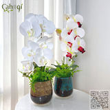 Bình Hoa Cắm Sẵn - Chậu Lan Hồ Điệp Cao Su 1 Cành 55x15 Cm