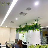 Thi Công Bồn Cây Giả Cho Treo Rủ Trần - Giải Pháp Xanh Cho Văn Phòng Hiện Đại Tòa Lotte Đào Tấn