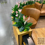 Thi Công Thay Thế Bồn Cây Giả Cho Quán Cafe Starbucks Tại AEON MALL Hà Đông