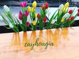 Hoa Giả - Chùm Tulip 5 Bông Trồng Hàng Rào Ban Công
