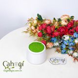 Chậu Hũ Sữa 9x9 cm