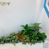Thi Công Trồng Cây Xanh Giả Khu Vườn Cây Nhân Tạo Giếng Trời