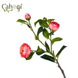 Cành Hoa Trà Giả Hoa Vải 2 Bông 3 Nụ 60 Cm