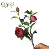 Cành Hoa Trà Giả Hoa Vải 2 Bông 3 Nụ 60 Cm