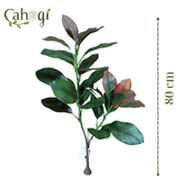 Cây Giả - Ngọn Cây Đa – Cây Si Giả 80 Cm 2 Nhánh