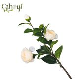 Cành Hoa Trà Giả Hoa Vải 2 Bông 3 Nụ 60 Cm