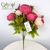 Hoa Giả - Chùm Mẫu Đơn Paeonia Cao Cấp