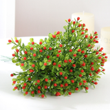 Hoa Chiêm Điểm 17 Cm