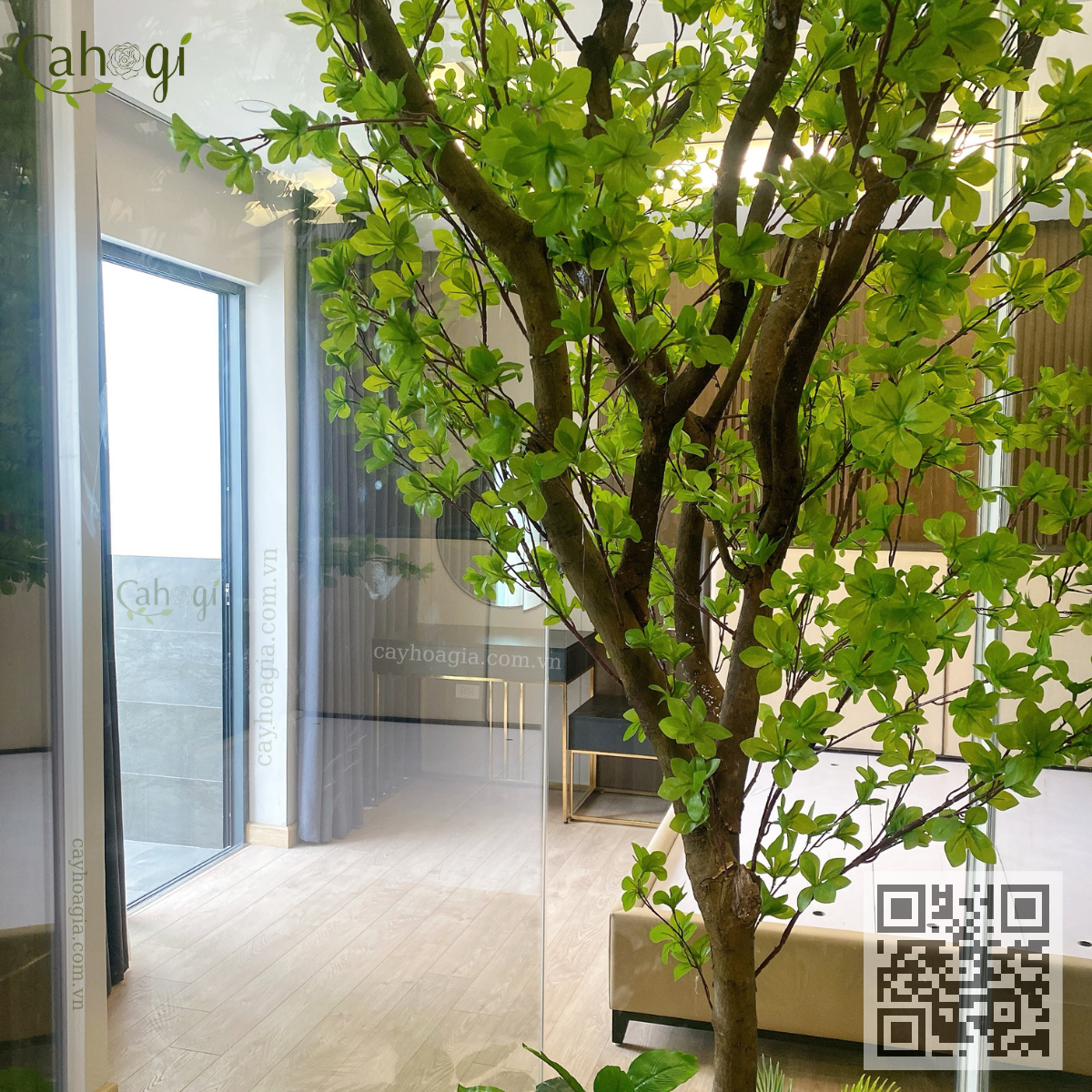 cây thạch nam giả