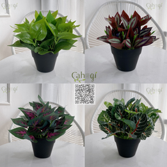 Bình Hoa Cắm Sẵn Cao Cấp Hoa TULIP Cao Su 15 Bông