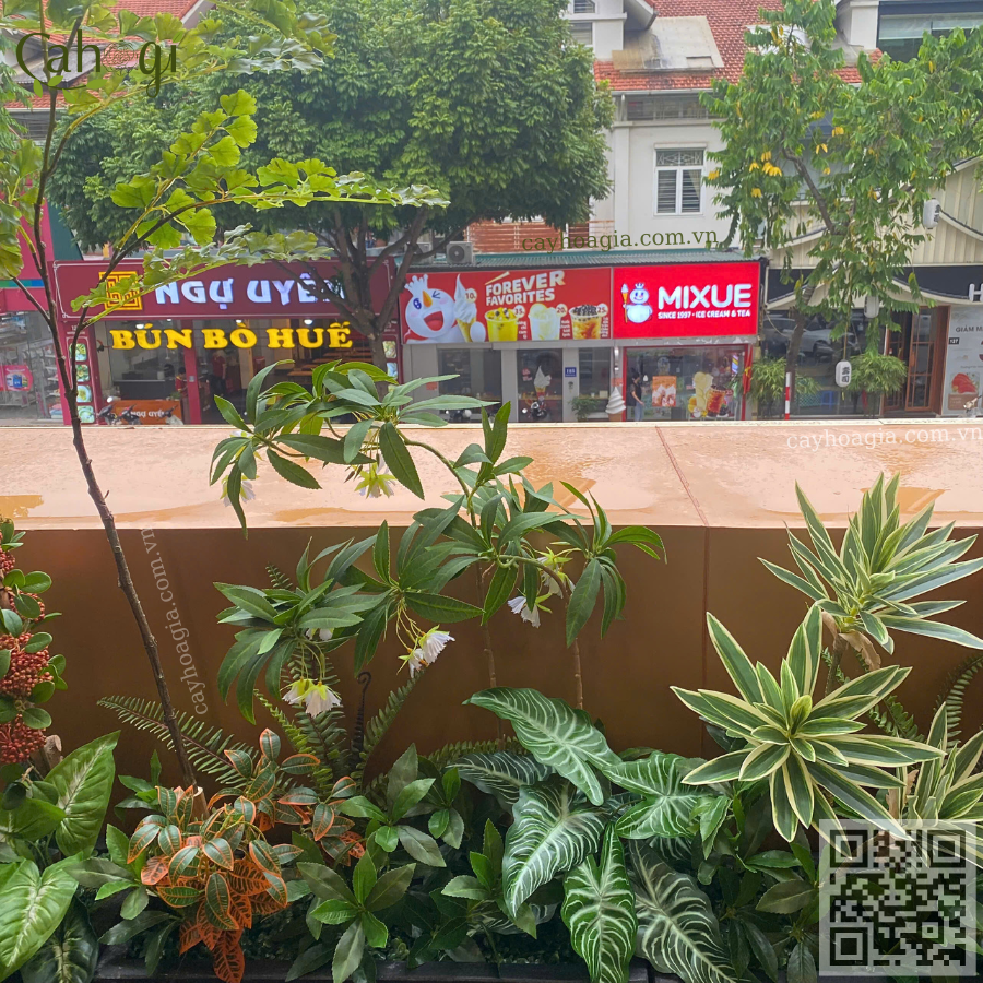 bồn cây giả cao cấp