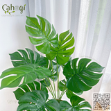 Cây Giả Trang Trí - Cây Trầu Bà Nam Mỹ Monstera Cây Lá Rùa 50Cm