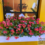 Thi Công Cắm Hoa Nhiều Hạng Mục Sự Kiện Hợp Tác Giao Thương Tại Vincom