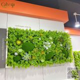 Thi Công 14 Bức Tranh Sen Đá Giả Trang Trí Văn Phòng DOHA LAND