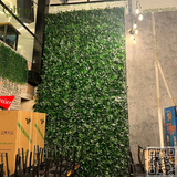 Thi Công Tường Cây Dây Leo Giả Khổ Rộng Với Chi Phí Thấp