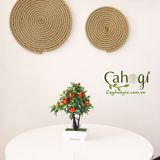 Cây Trang Trí- Chậu Cây Lựu Cảnh Mini