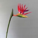 Hoa Giả- Hoa Chuối Thiên Điểu Cao Su Nhiều Màu Sắc 90 cm