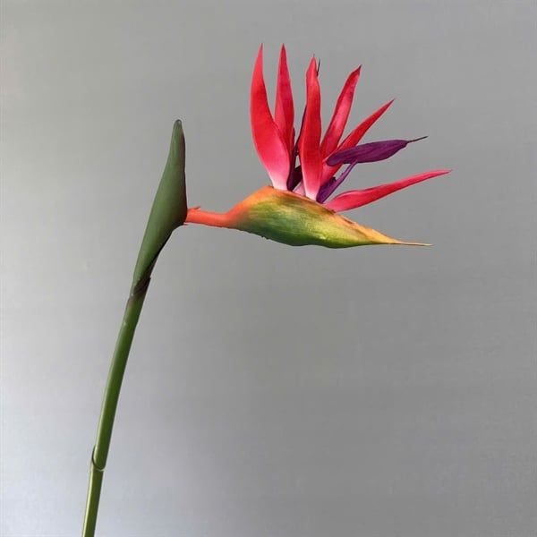 Hoa Giả- Hoa Chuối Thiên Điểu Cao Su Nhiều Màu Sắc 90 cm