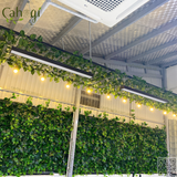 Thi Công Tường Cây Dây Leo Giả Quán Cafe Phương án Tiết Kiệm