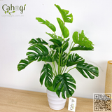 Cây Giả Trang Trí - Cây Trầu Bà Nam Mỹ Monstera Cây Lá Rùa 50Cm