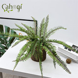 Cây Giả - Dương Xỉ Lá Me Gân Đỏ