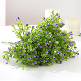 Hoa Chiêm Điểm 17 Cm