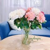 Bình Cắm Hoa Thủy Tinh Múi Khế