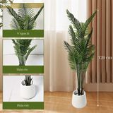 Bộ Cây Giả - Cây Dừa Nước Giả Nhiều Kích Thước