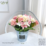 Chậu Cốc Hoa Cẩm Tú Cầu Vintage 20 Cm