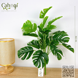 Cây Giả Trang Trí - Cây Trầu Bà Nam Mỹ Monstera Cây Lá Rùa 50Cm