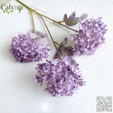 Hoa Giả Cẩm Tú Cầu Nhựa 3 Bông