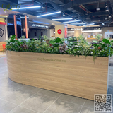 Thi Công Trang Trí Cây Hoa Giả Siêu Thị Aeon Xuân thuỷ Cầu Giấy