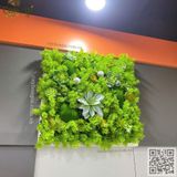 Thi Công 14 Bức Tranh Sen Đá Giả Trang Trí Văn Phòng DOHA LAND