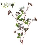 Cành Kim Ngân Lượng, Chery, Sim Giả Có Lá 11 Chùm Quả Dài 90 Cm