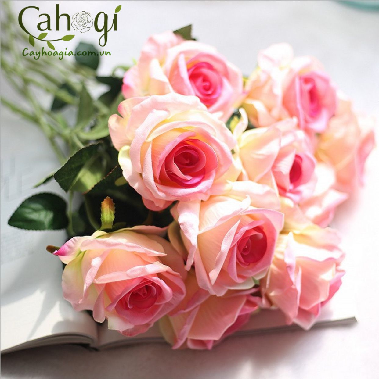 Hoa_hong_nhung_gia_cao_cap_1