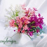 Chùm Hoa Thuỷ Tiên 33Cm 0158
