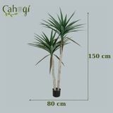 Cây Giả Cây Phát Tài Núi Nhiều Kích Thước