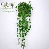 Chùm Cây Dây Leo Giả Trang Trí Các Mẫu Dài 96 cm : Vạn Niên Thanh, Lá Nho, Rau Má  Nhật, Trầu Bà, Thường Xuân