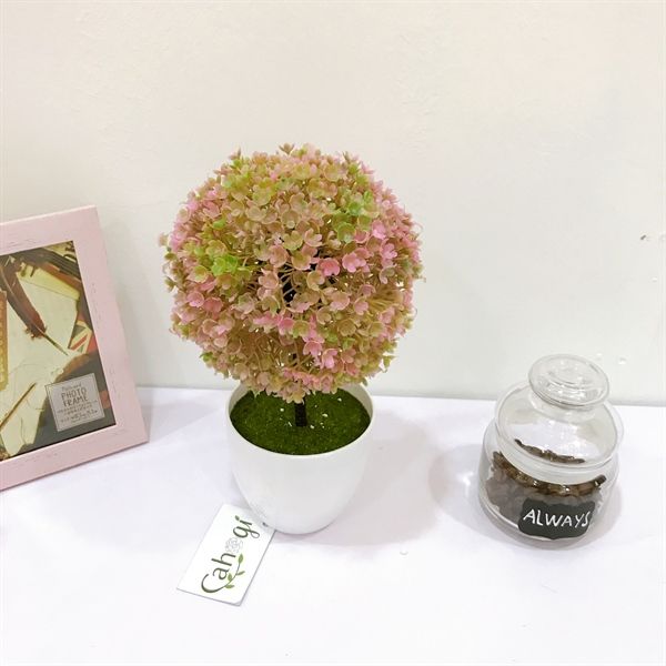 Chau_cay_cam_tu_cau-trang_tri_3