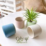 Chậu Men Sứ Mini Kẻ Tăm 076