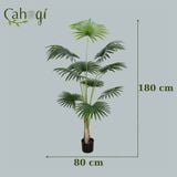 Cây Giả - Cây Cọ Giả Cỡ Lớn Nhiều Kích Thước