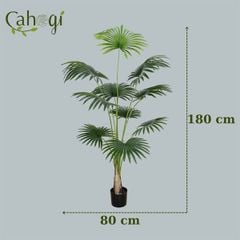 Dây Leo Giả Trang Trí - Cuộng Dây Leo Giả 3M