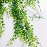 Chùm Lá Cây Giả Trang Trí - Chùm Dây Lan Tim Giả 80 Cm